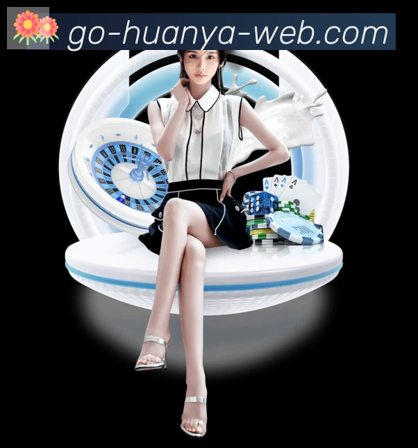 互动解说服务