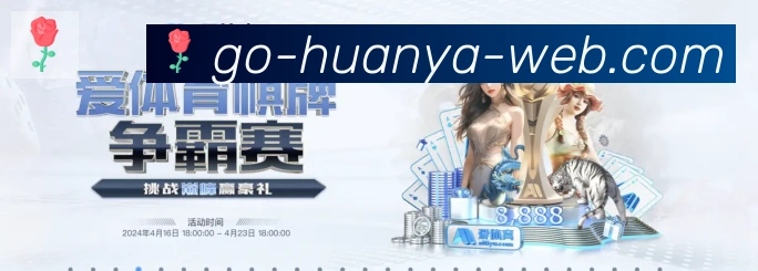 多媒体互动体验
